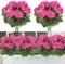 2 Bundles Artificial Red Geranium Flowers – UV-Resistant Silk Faux Plants for Outdoor & Indoor Garden, Porch, Window Box, Home, Wedding, and Patio Décor (Rose Red)